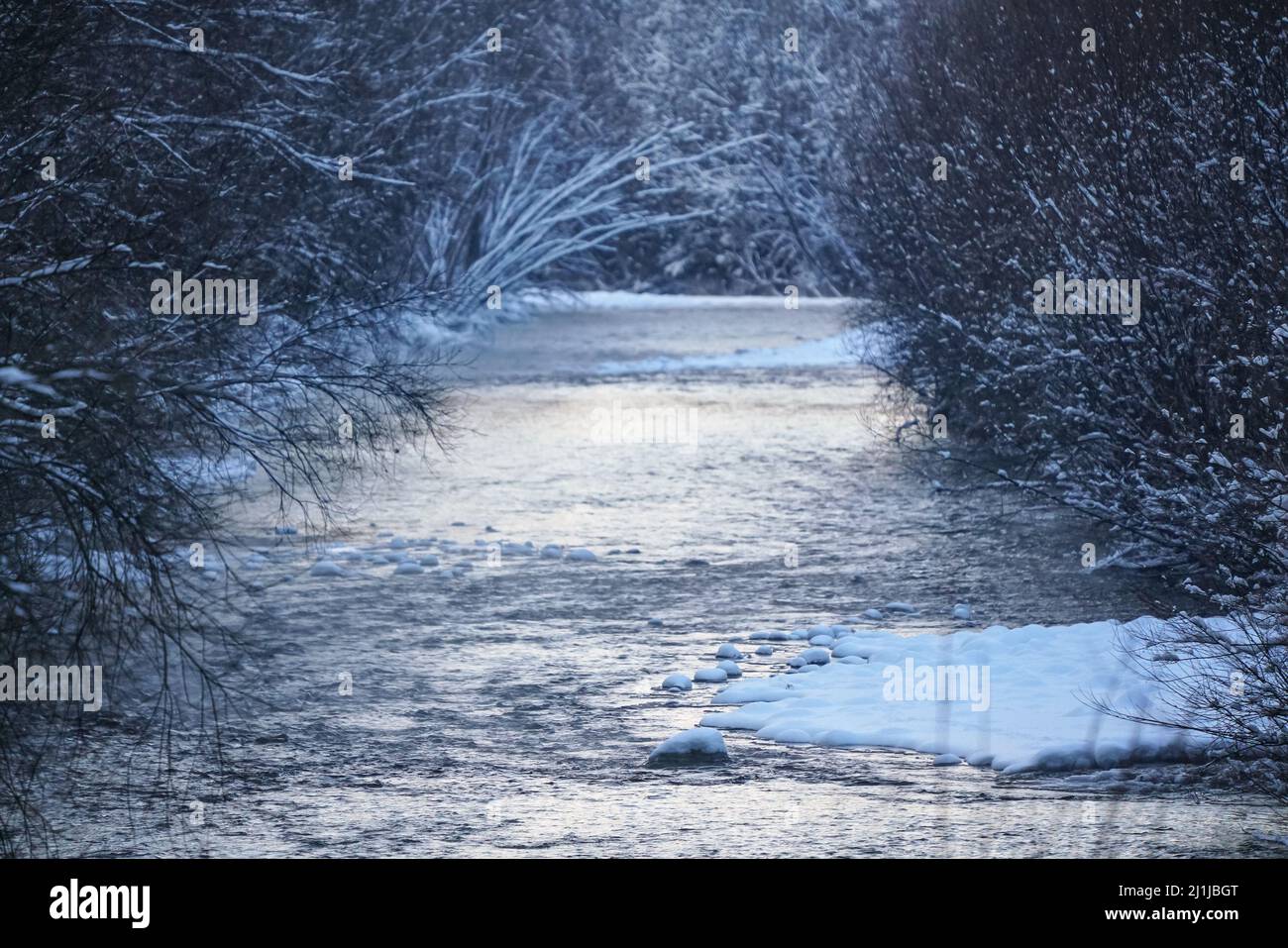 Rivière froide d'hiver, arbres sombres des deux côtés Banque D'Images