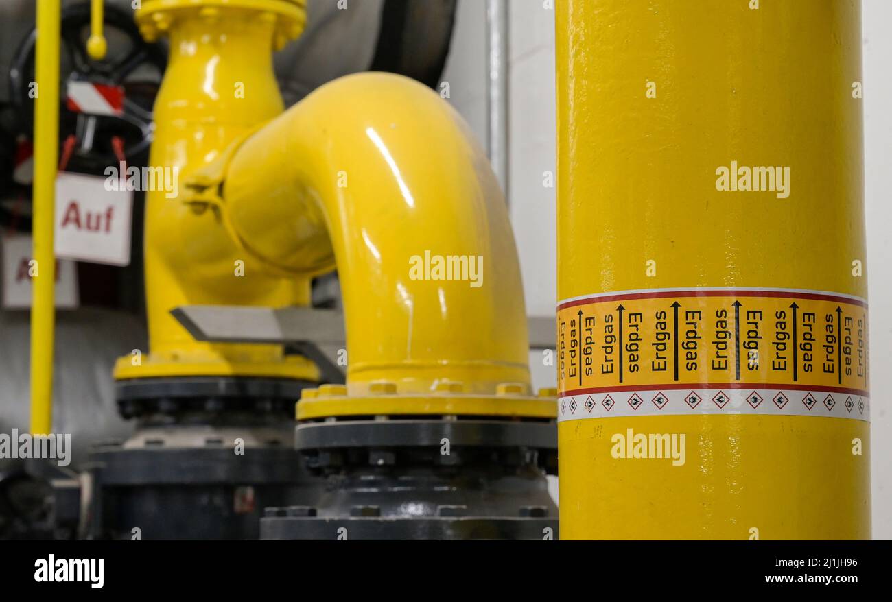 ALLEMAGNE, Hambourg, unité de cogénération pour le chauffage et l'alimentation en gaz naturel, tuyau de gaz avec impression Erdgas - gaz naturel, l'Allemagne dépend des importations de gaz russe / DEUTSCHLAND, Hambourg, BHKW Blockheizkraftwerk, das über Kraft-Wärme-Kopplung eine Siedlung mit Strom und Wärme orgt, Erdgas Leversitung Banque D'Images