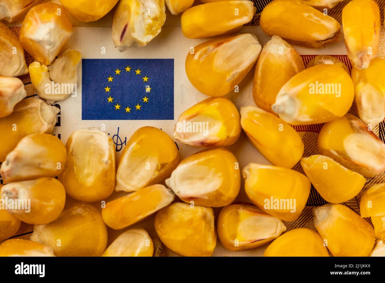 Drapeau de l'Union européenne à partir de 50EUR projet de loi avec beaucoup de grain de maïs. Objet éclairé par une lumière uniforme et douce. Banque D'Images