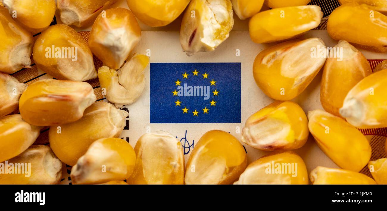 Drapeau de l'Union européenne à partir de 50EUR projet de loi avec beaucoup de grain de maïs. Objet éclairé par une lumière uniforme et douce. Banque D'Images