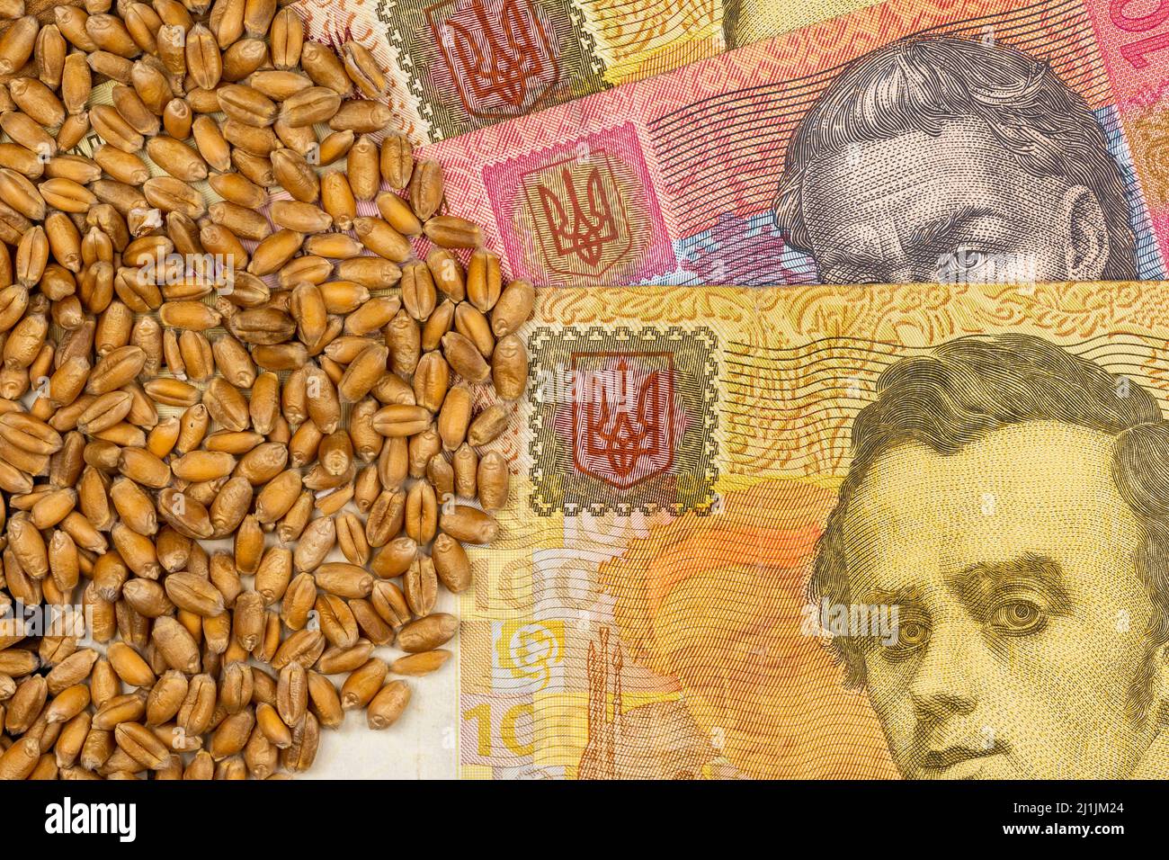Grains de blé avec détails des billets d'Ukraine. Objet éclairé par une lumière uniforme et douce. Banque D'Images