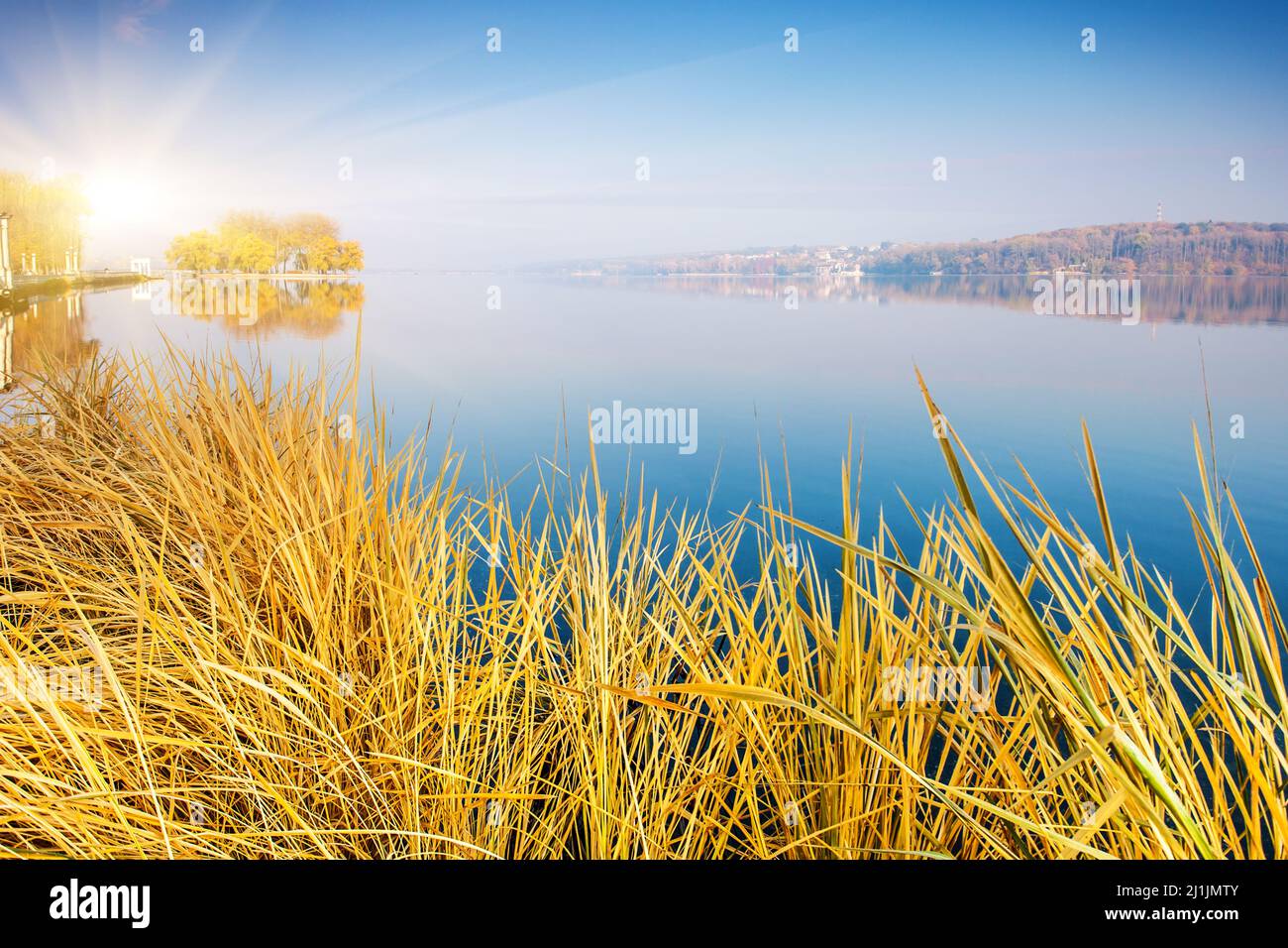 Herbe sèche sur le lac avec ciel bleu. Ternopil, Ukraine, Europe. Le monde de la beauté. Banque D'Images