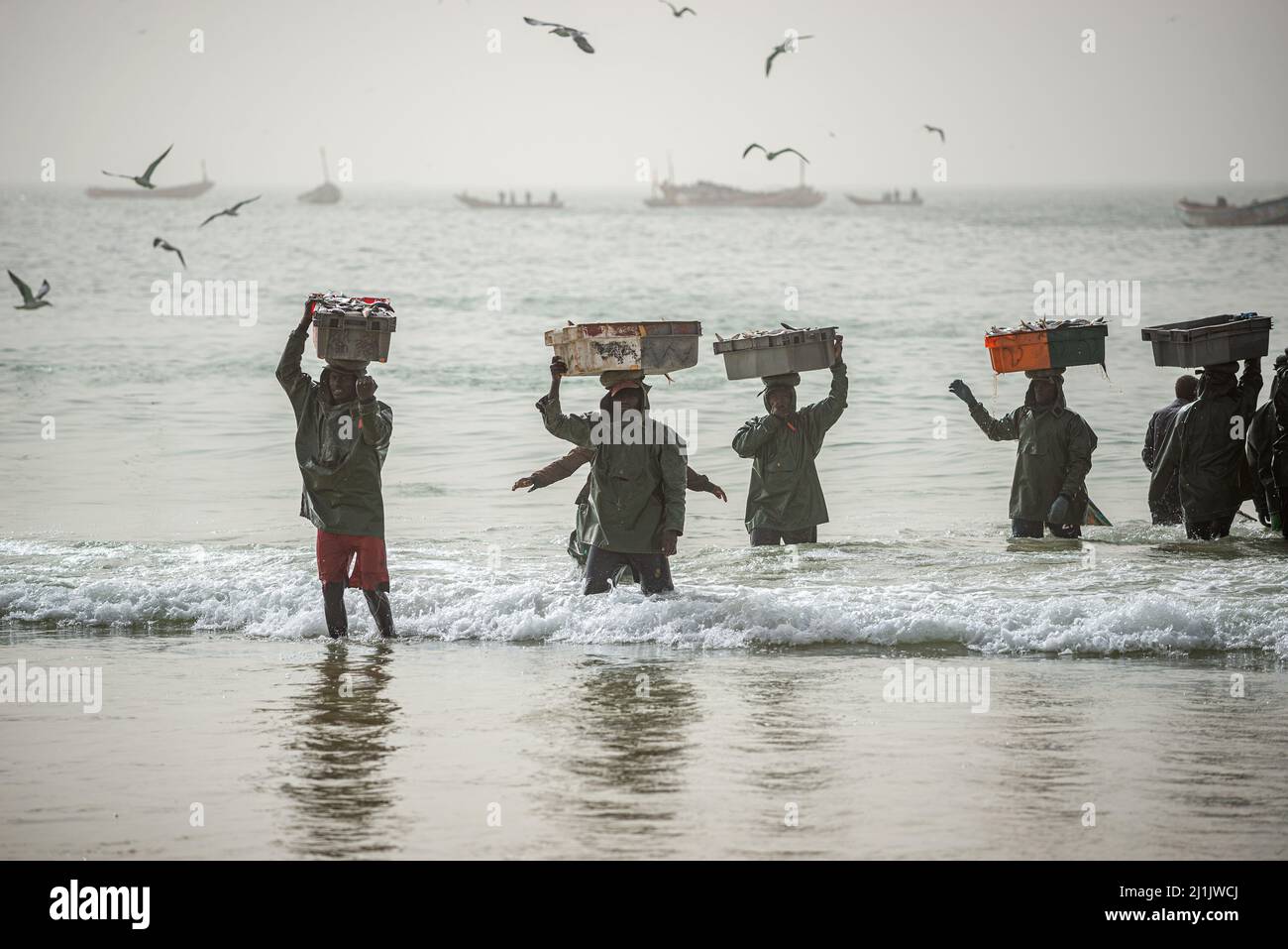 Travailleurs africains noirs qui téléchargent des poissons des bateaux de pêche, marché aux poissons de Nouakchott, Mauritanie Banque D'Images