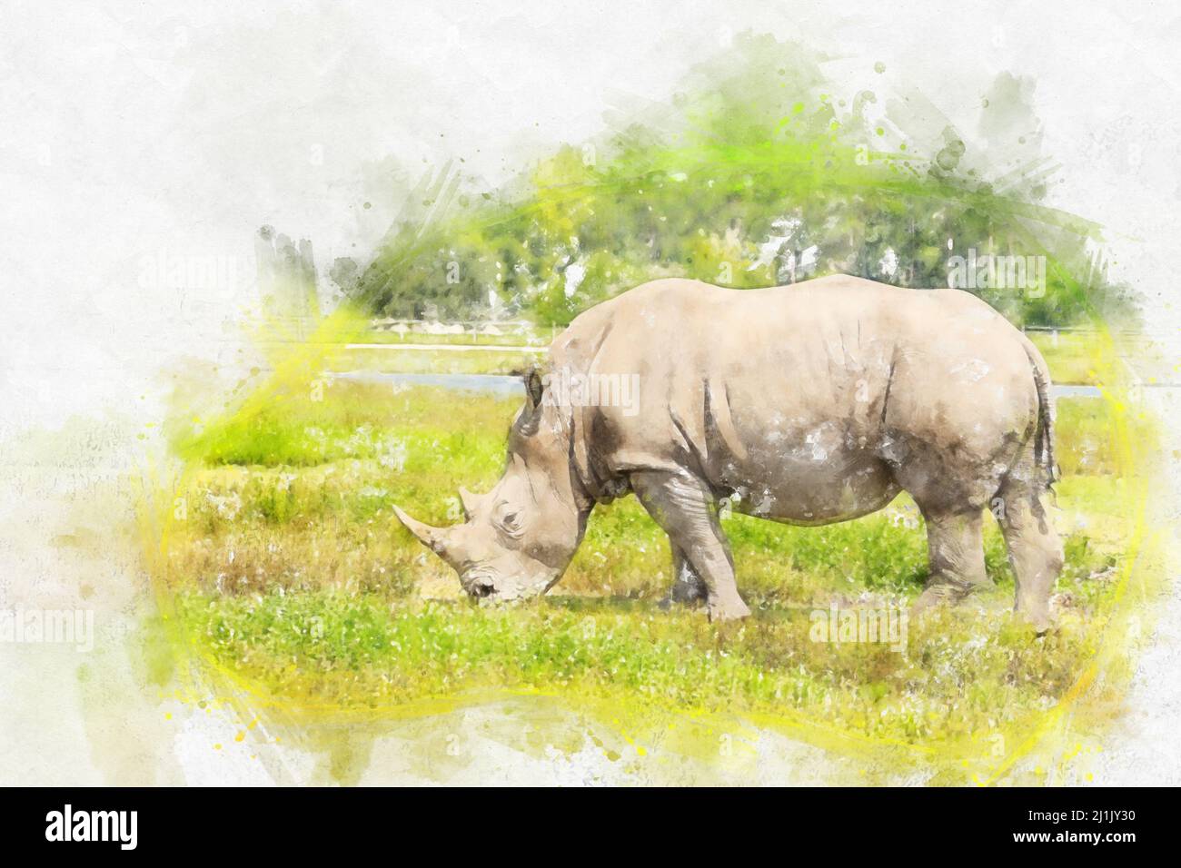 Illustration aquarelle du rhinocéros blanc sur fond blanc Banque D'Images
