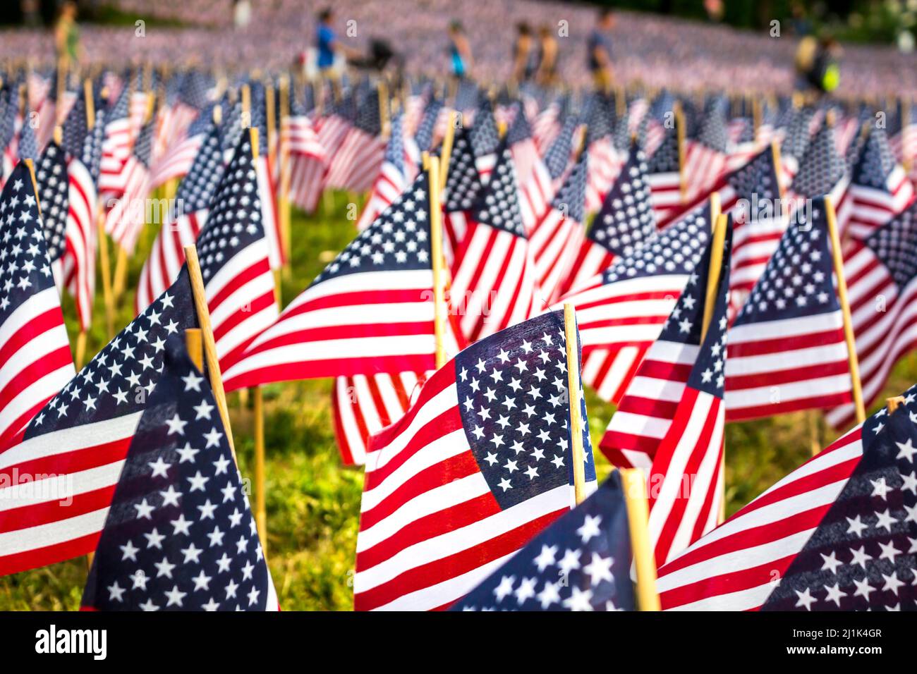 Beaucoup de drapeaux américains dans les jardins de Boston Common, Boston, Massachusetts, États-Unis Banque D'Images