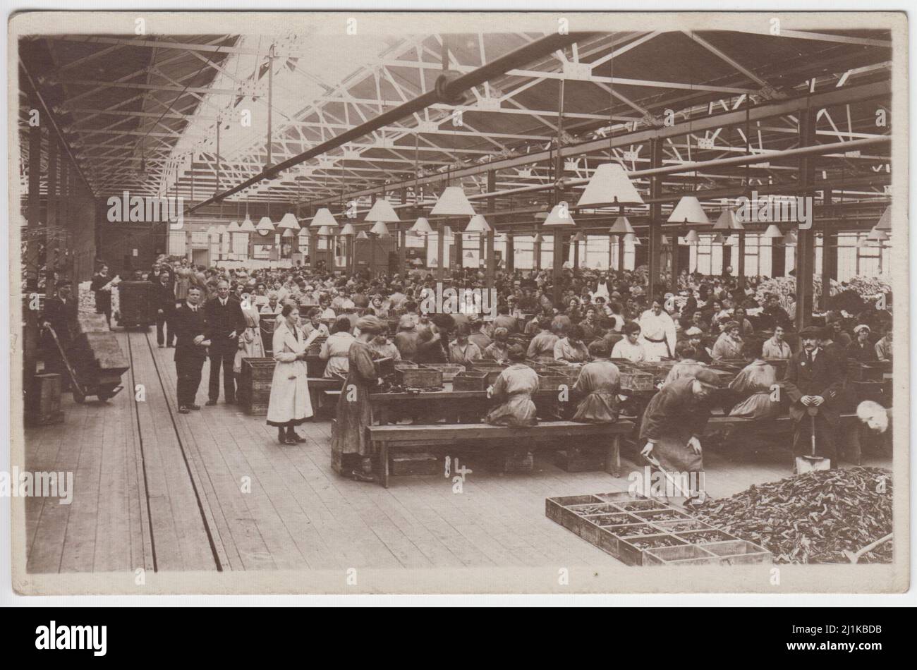 Royal Small Arms Factory, Enfield, magasin principal de machines, première Guerre mondiale. Les travailleuses de munitions travaillant sur des bancs avec des boîtes de munitions devant elles. Deux hommes au premier plan sont en pelant du métal dans des boîtes. Un autre homme transporte des boîtes avec un chariot à sac. Carte postale photographique vendue par Wakefield, Ealing, Londres. Banque D'Images