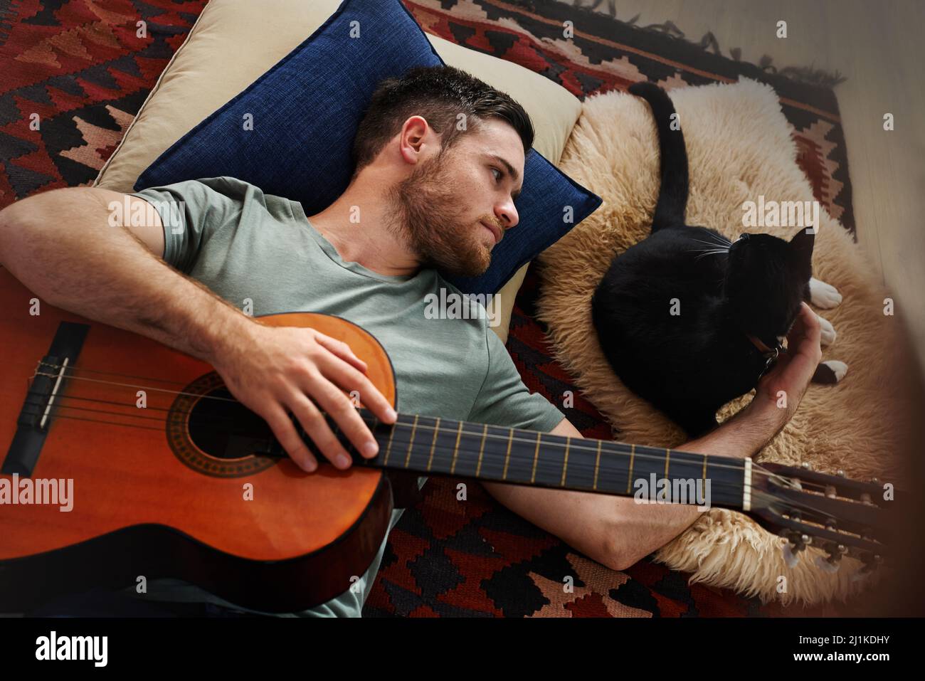 Chat cool qui joue de la guitare Banque de photographies et d'images à  haute résolution - Alamy