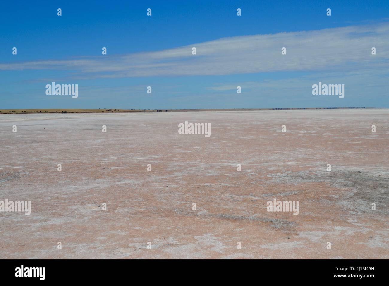 L'incroyable croûte de sel rose sur le lac Tyrrell en Australie est près de la ville de l'arrière-pays de Sea Lake dans le Victoria et a rarement de l'eau, montrée lors d'une chaude journée d'été Banque D'Images