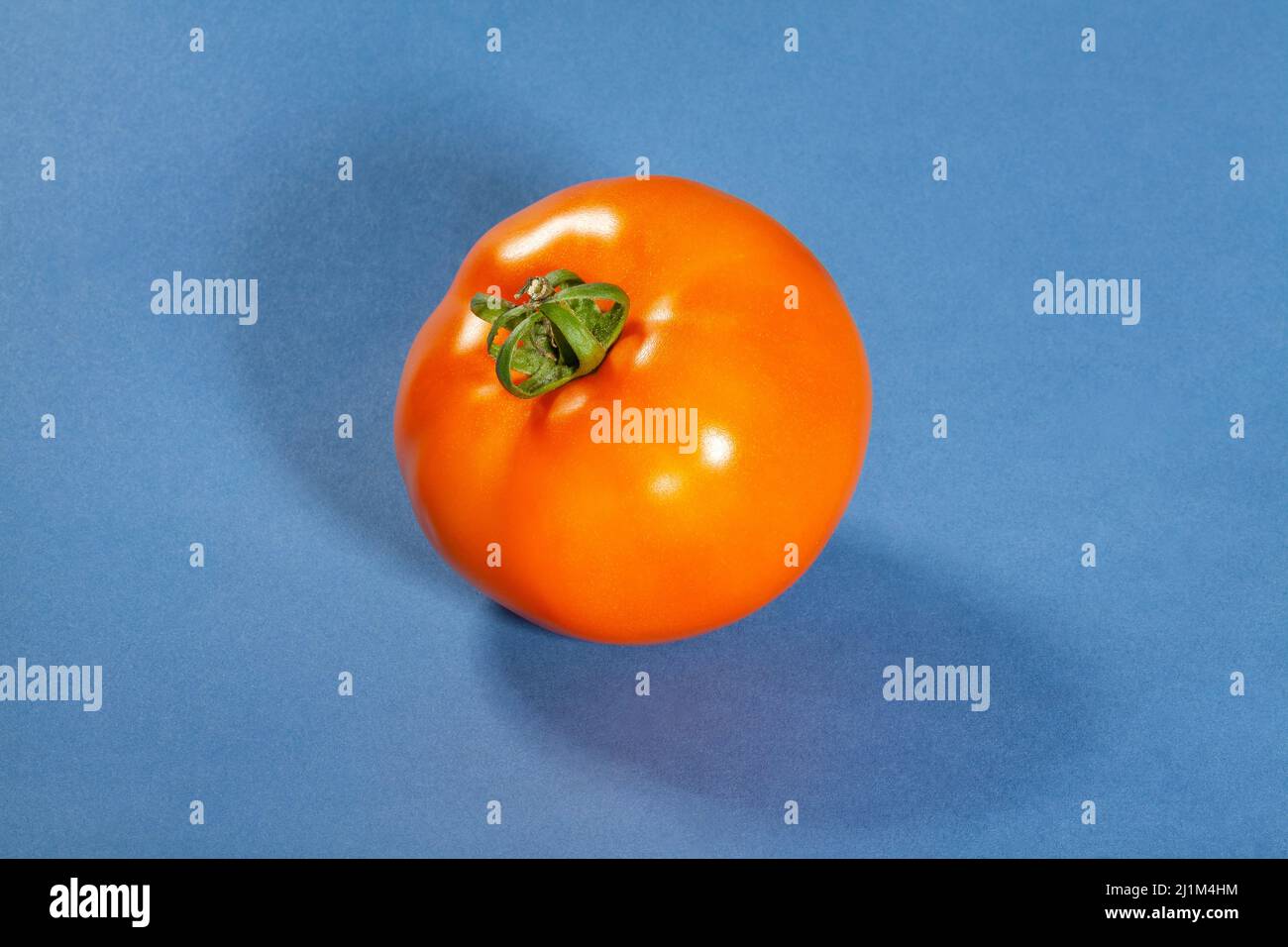 Tomate orange sur fond bleu Banque D'Images