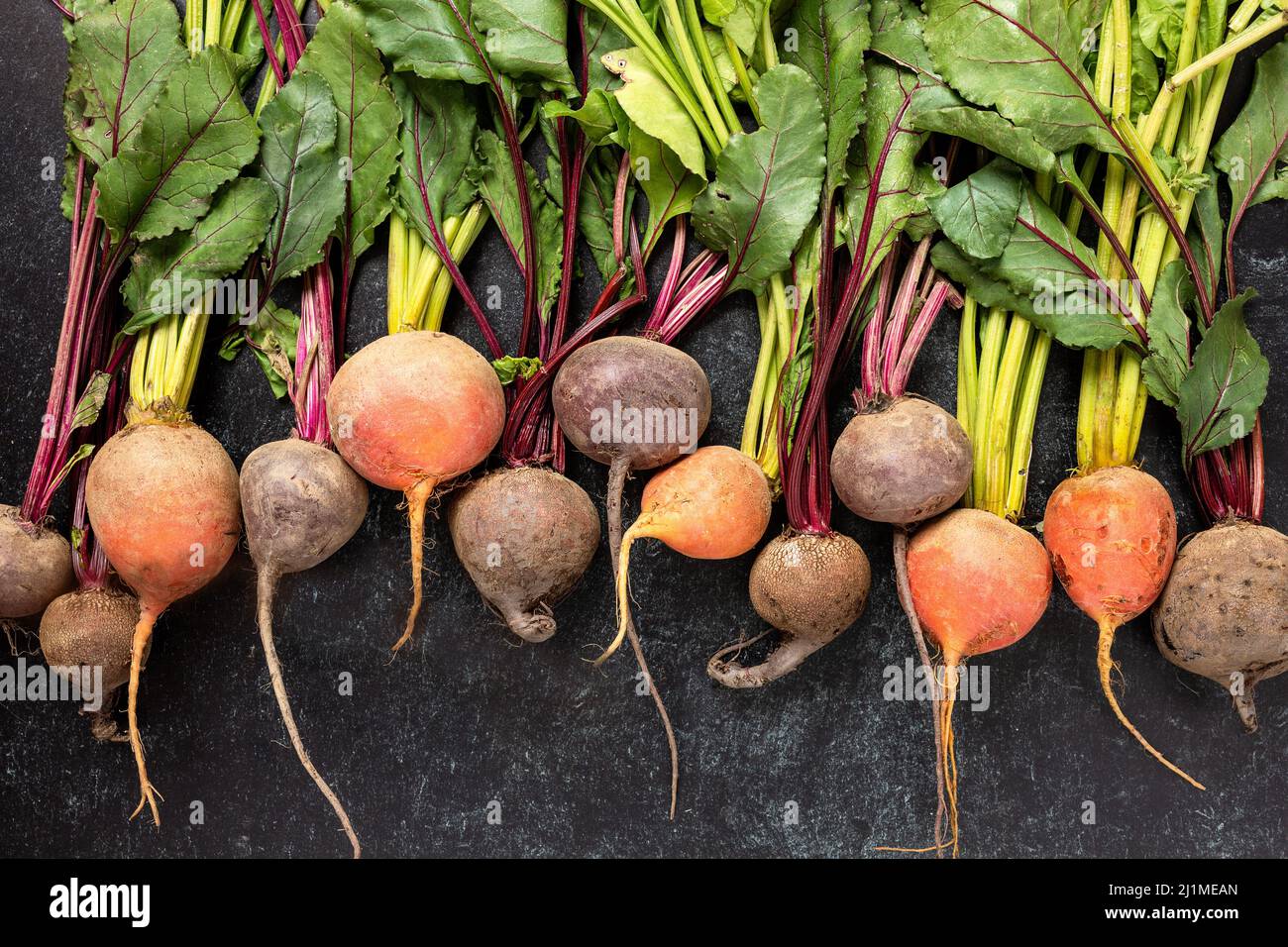 Betteraves fraîches et biologiques du jardin exposées sur le granit noir Banque D'Images