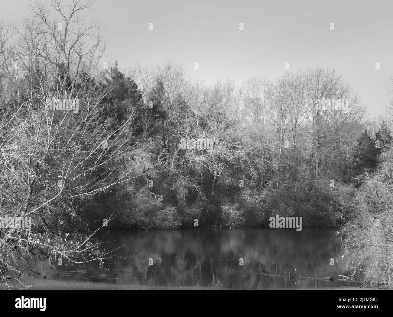 Un lac en hiver Banque D'Images