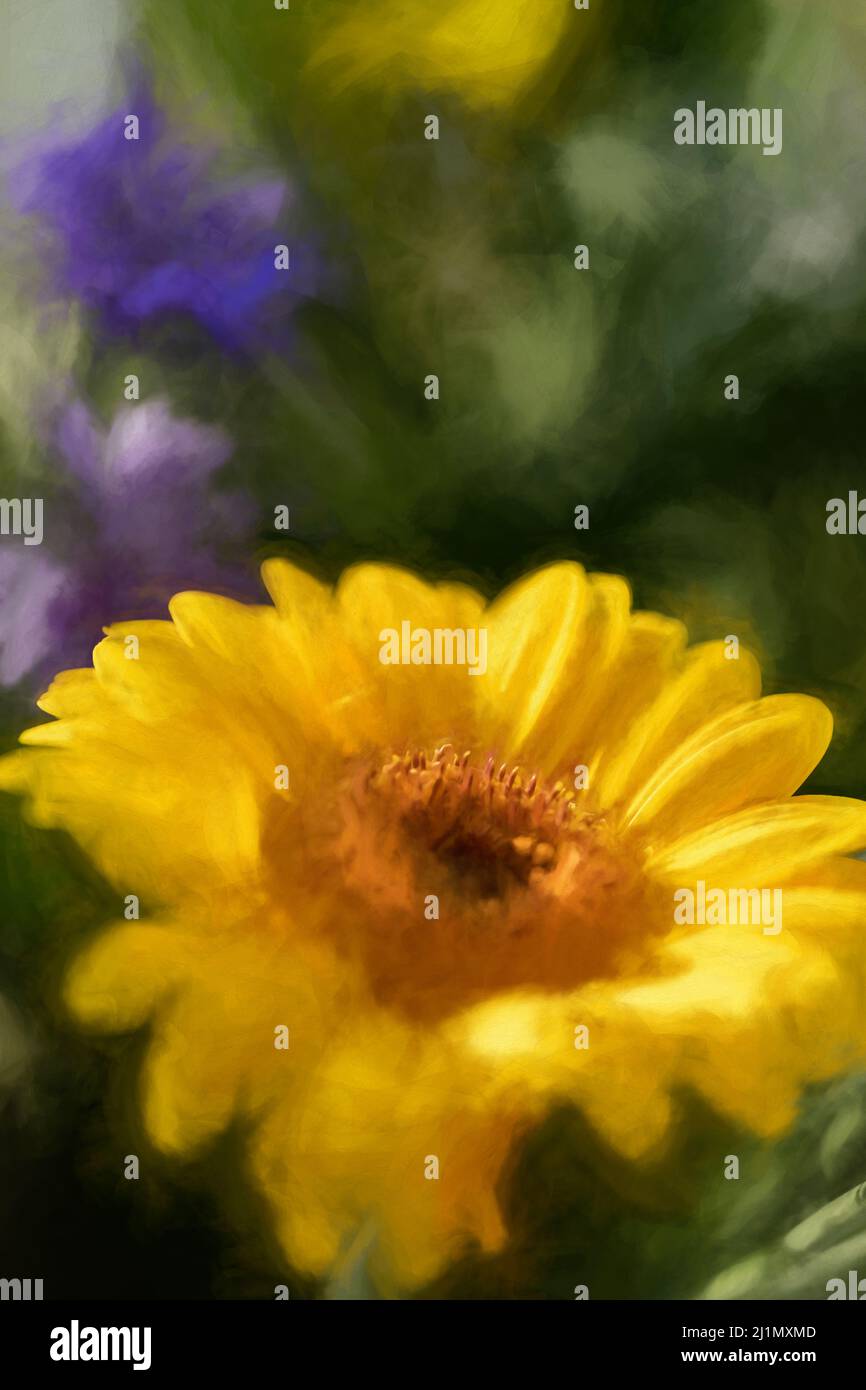 Peinture numérique d'un tournesol jaune et orange en fleur avec une faible profondeur de champ. Banque D'Images