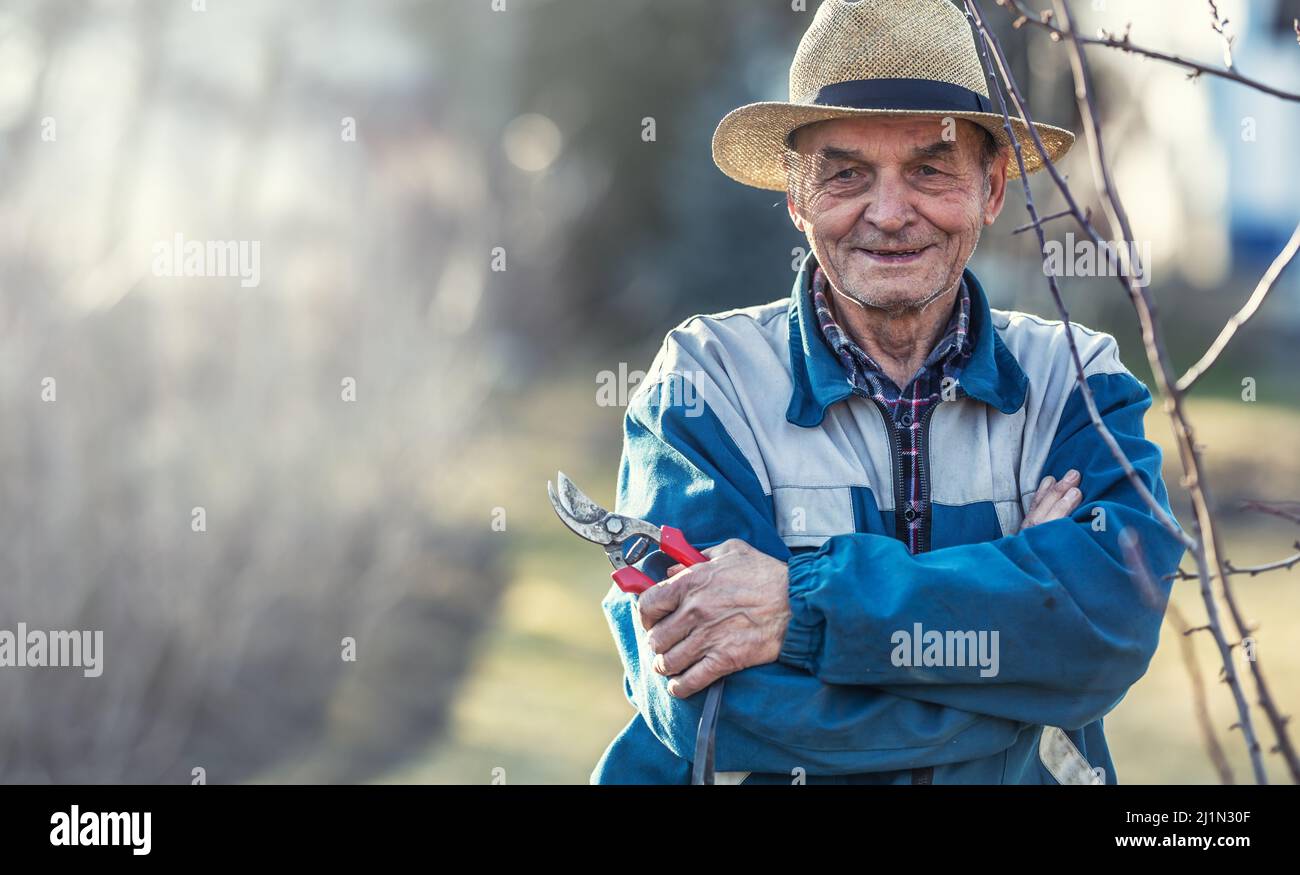 Un retraité vital de 80 ans tient des ciseaux dans son jardin pour couper les branches des arbres. Joyeux homme âgé dans des vêtements de travail dans son jardin. Banque D'Images
