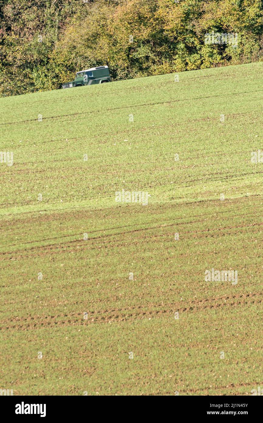 Land Rover véhicule vu dans la distance à travers un champ de céréales de germination. Métaphore de la sécurité alimentaire / nourriture croissante. Banque D'Images