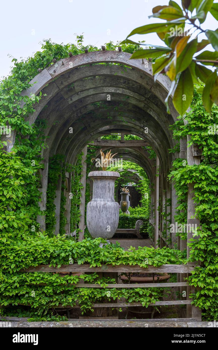 Pergola en dôme dans le jardin du collectionneur Earl's, Arundel Castle Gardens, West Sussex, Angleterre, Royaume-Uni Banque D'Images