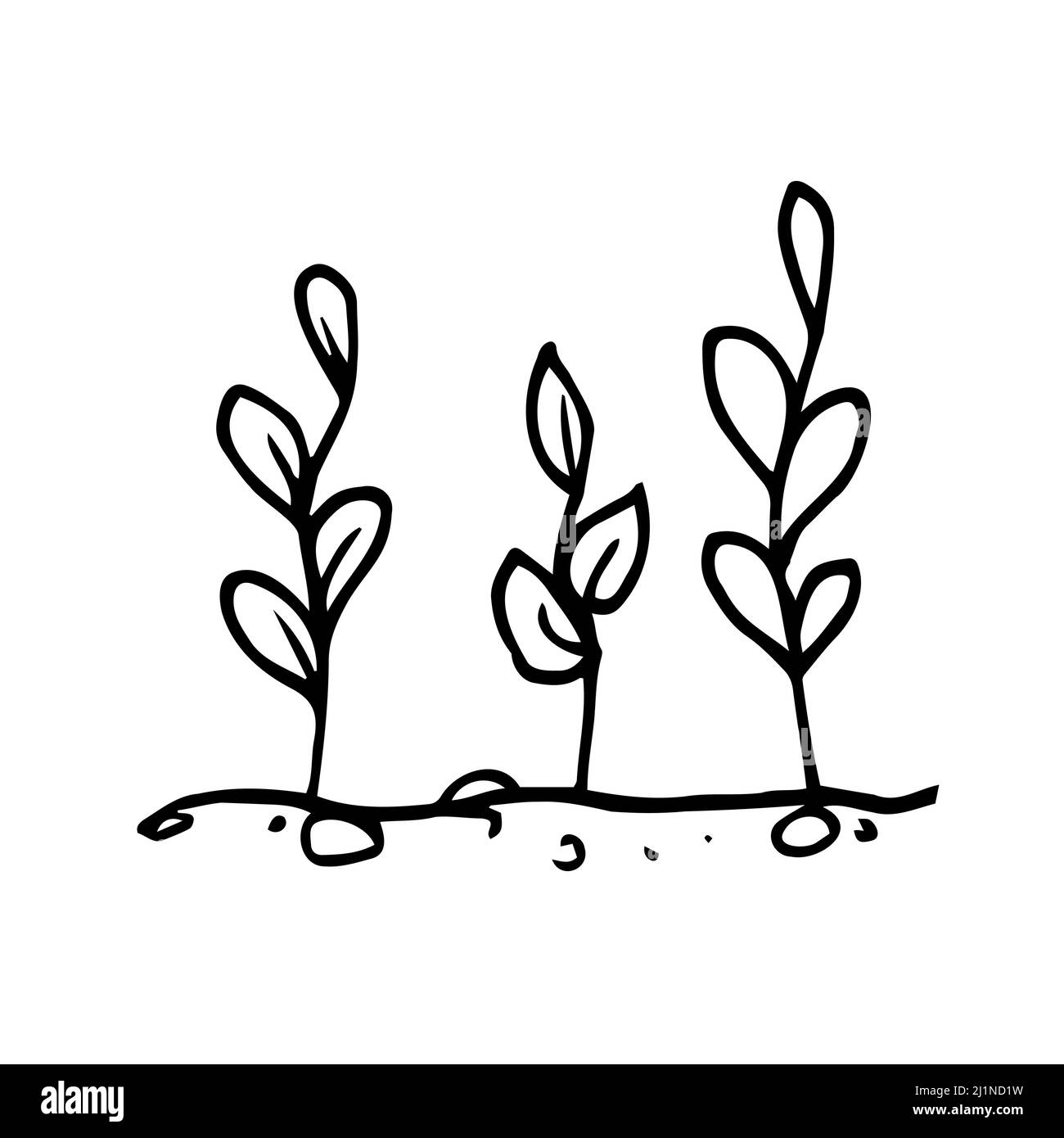 Icône de plante contour design vecteur. Icône de nature isolée sur fond blanc. Élément dessiné à la main pour le jour de la Terre Illustration de Vecteur