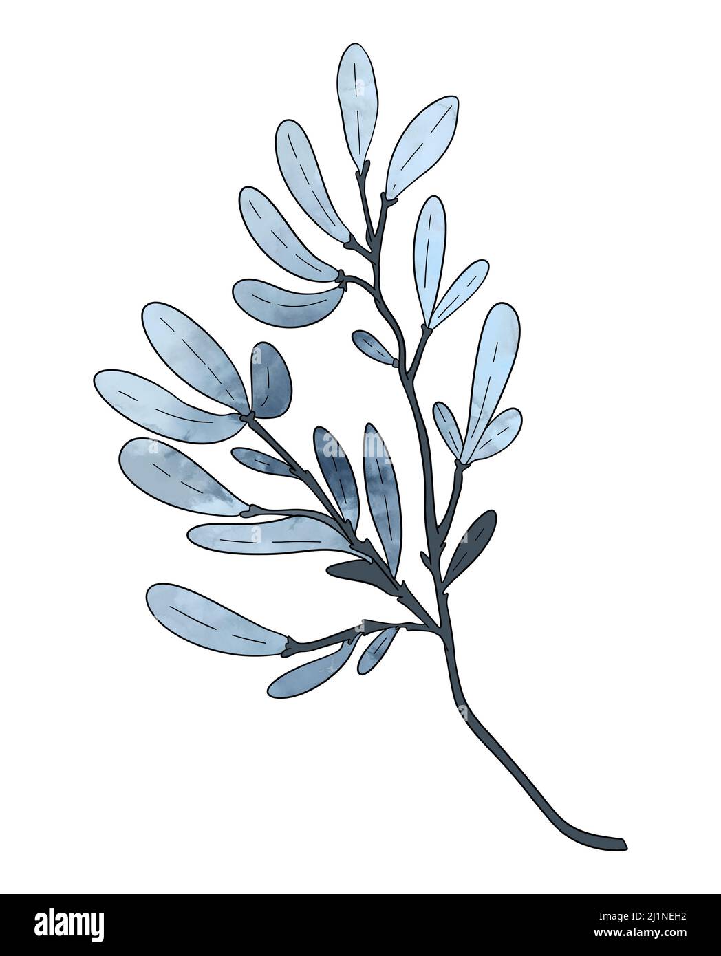 La branche laisse le bleu écologique dans le style aquarelle sur fond blanc. Laisse sur une branche pour décorer le design. Illustration de haute qualité Banque D'Images