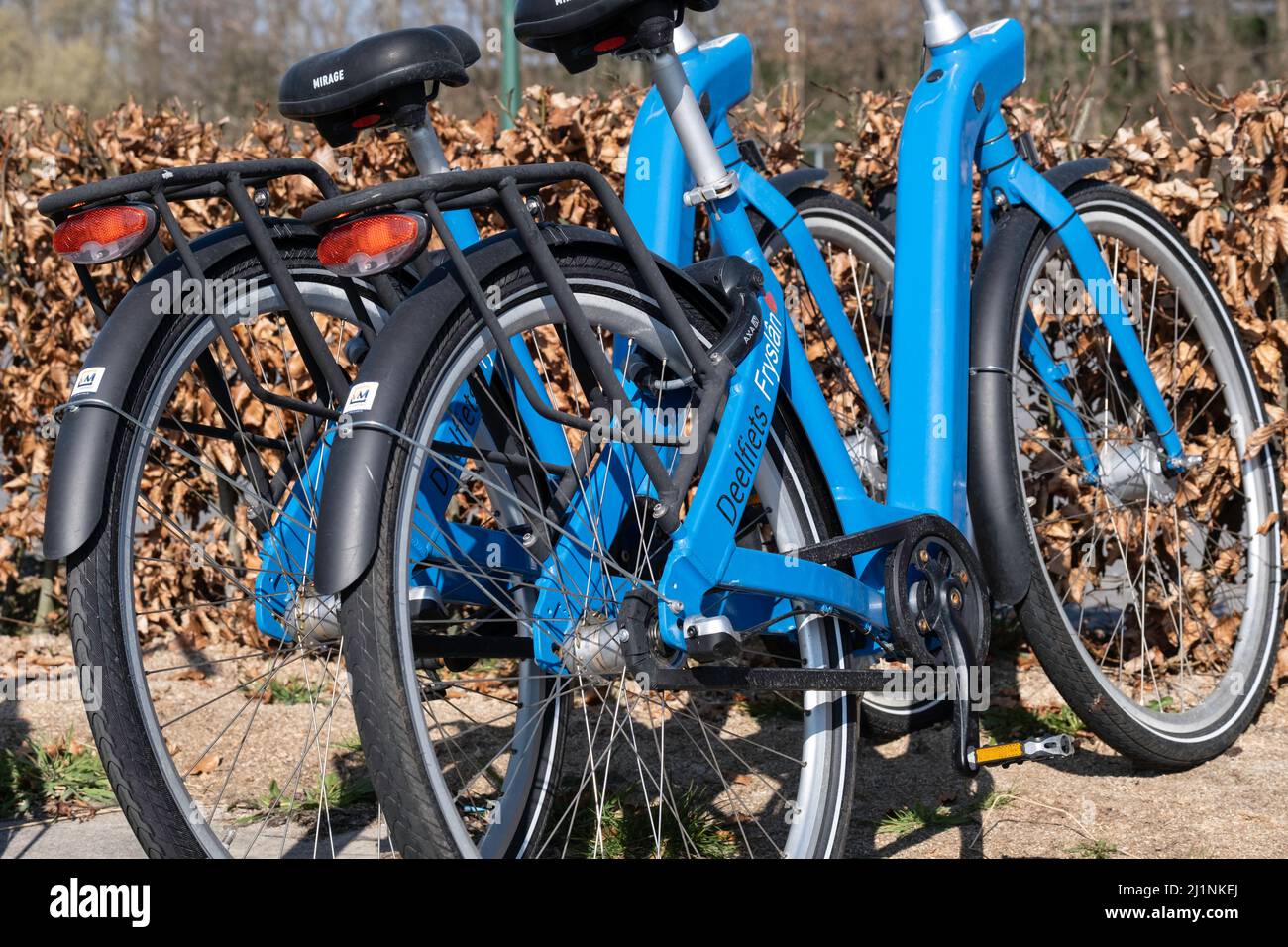 Deux vélos partagés bleus garés à louer à une gare routière de Lemmer, en Frise, aux pays-Bas avec le texte « Deelfiets Fryslân » (vélo partagé - Frise) Banque D'Images