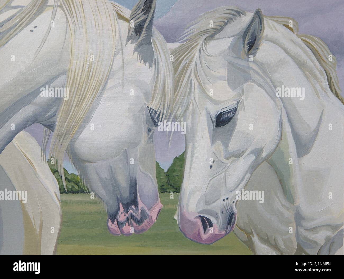 Peinture à l'huile originale de deux chevaux blancs touchant les têtes avant - format paysage Banque D'Images