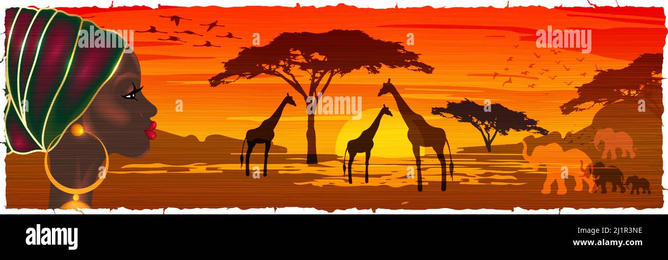 Femme africaine en turban regardant le paysage de savane au coucher du soleil, silhouettes d'animaux et de plantes, nature de l'Afrique. Réserves et parcs nationaux, Illustration de Vecteur