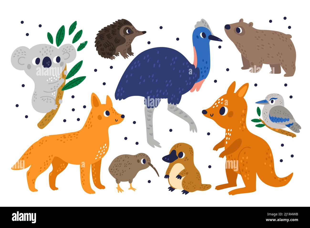 Animaux exotiques australiens mignons. Mammifères marsupiaux et oiseaux de dessins animés. Caractères étranges. Kiwi et kookaburra. Kangourou ou ou wombat. Autruche koala et Illustration de Vecteur