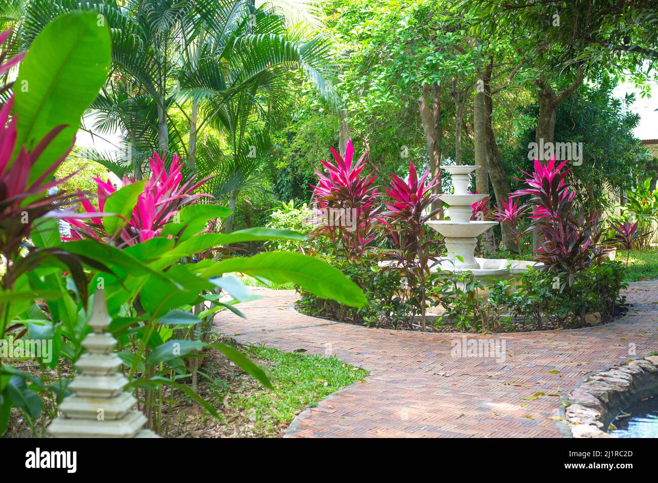 Parc tropical avec fleurs et arbres, sentiers et sculptures. Aménagement paysager du site. Banque D'Images