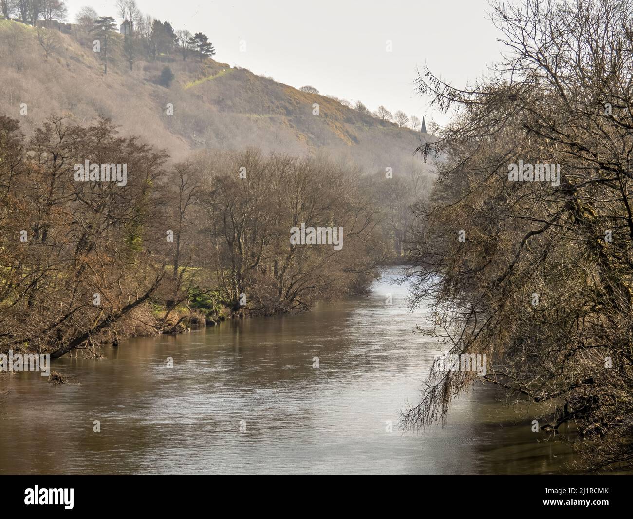 Brumeux tôt le matin, vue sur la rivière Torridge, Devon, Royaume-Uni. Banque D'Images