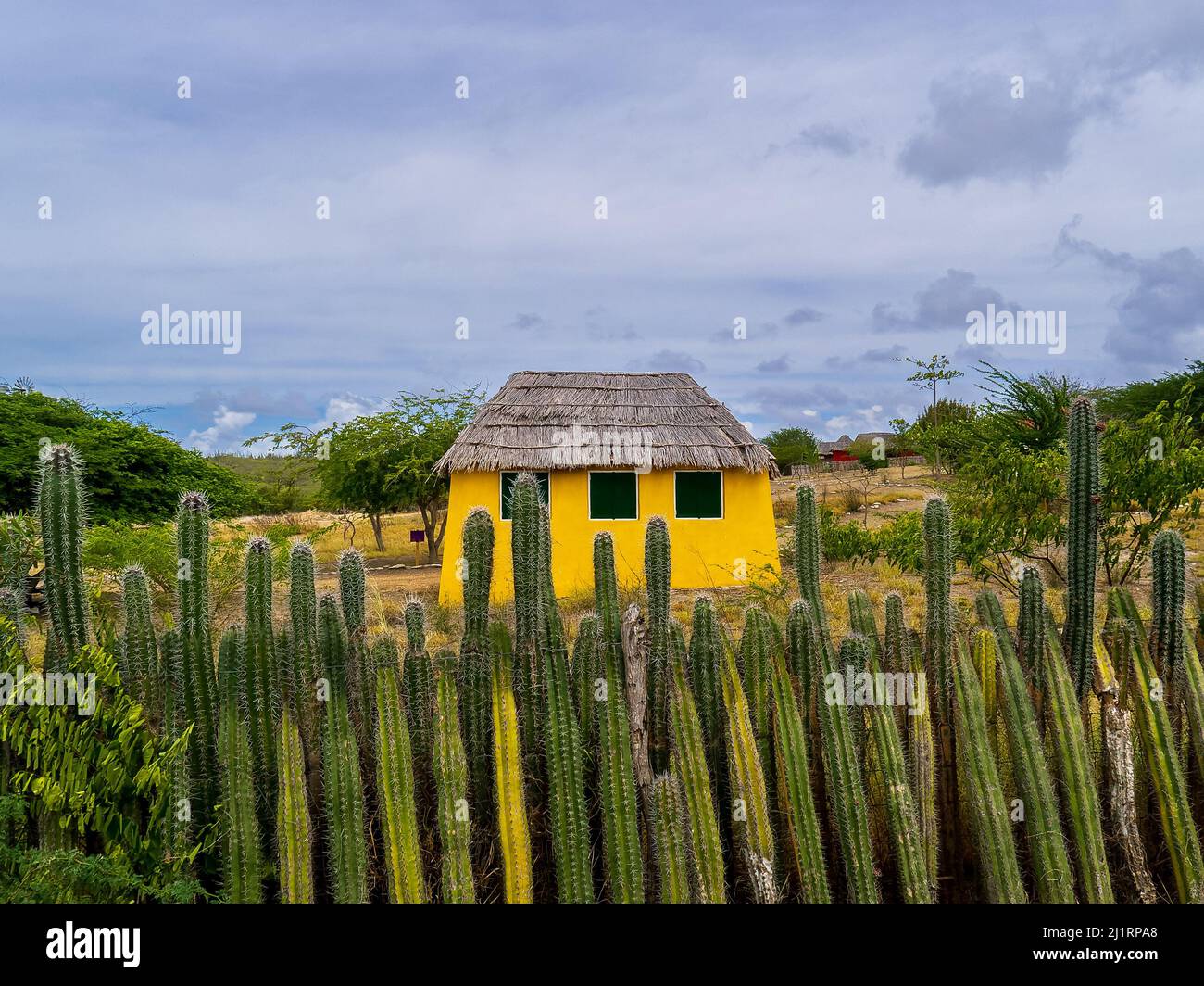 Bonaire coloré jaune maison et clôture de cactus Antilles néerlandaises Banque D'Images
