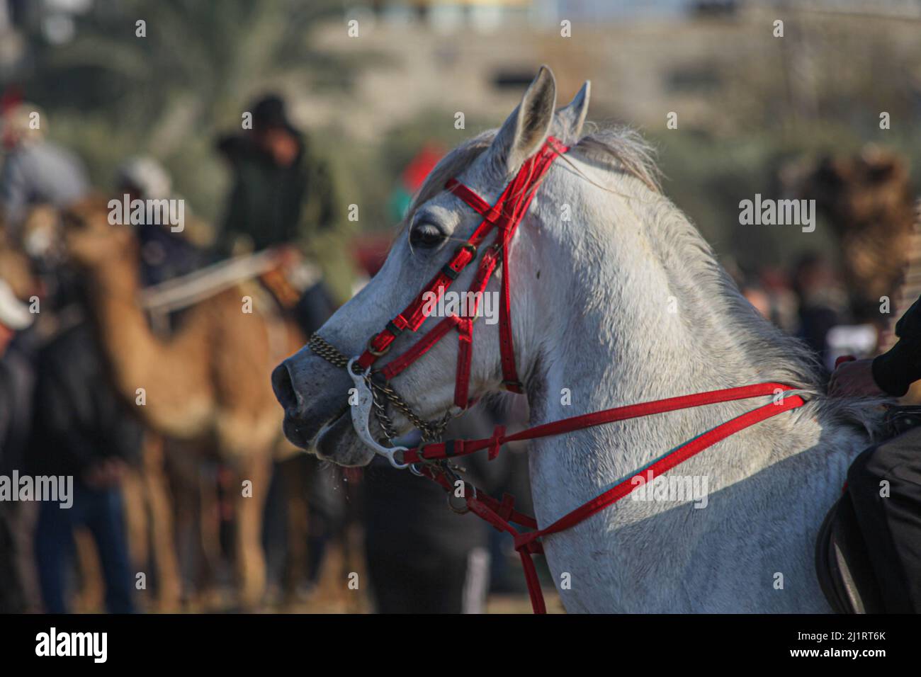 Ville de deir al balah Banque de photographies et d’images à haute