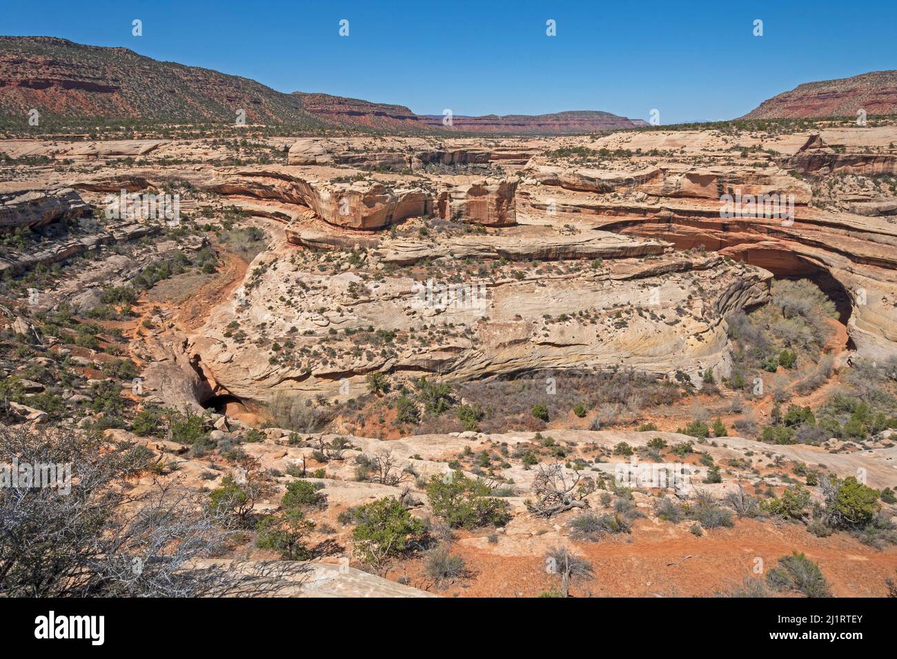 Vue aérienne d'un virage de rivière dans un Desert Canyon dans le monument national de Natural Bridges dans l'Utah Banque D'Images