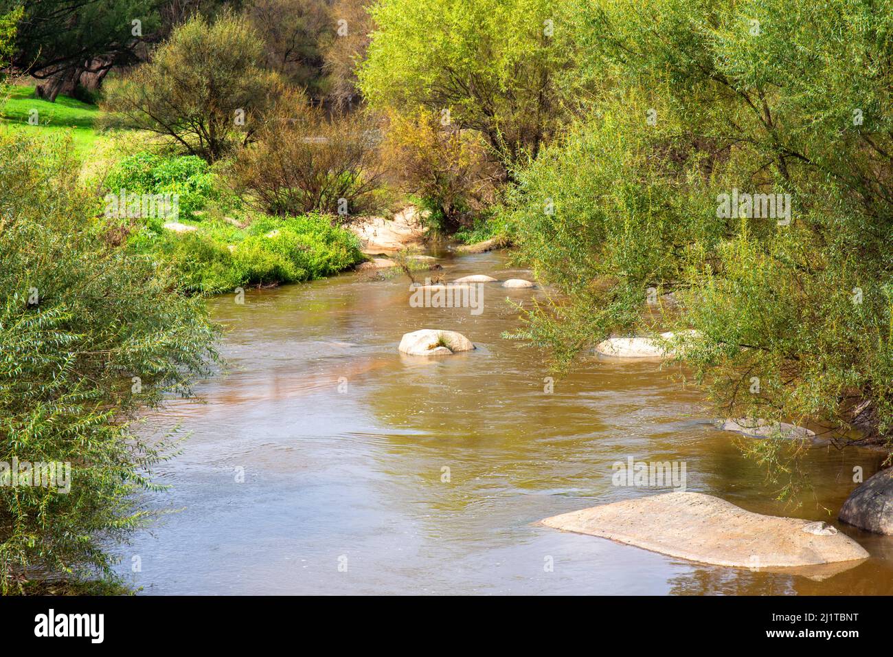 MacDonald River à Bendemeer, Nouvelle-Galles du Sud, Australie Banque D'Images