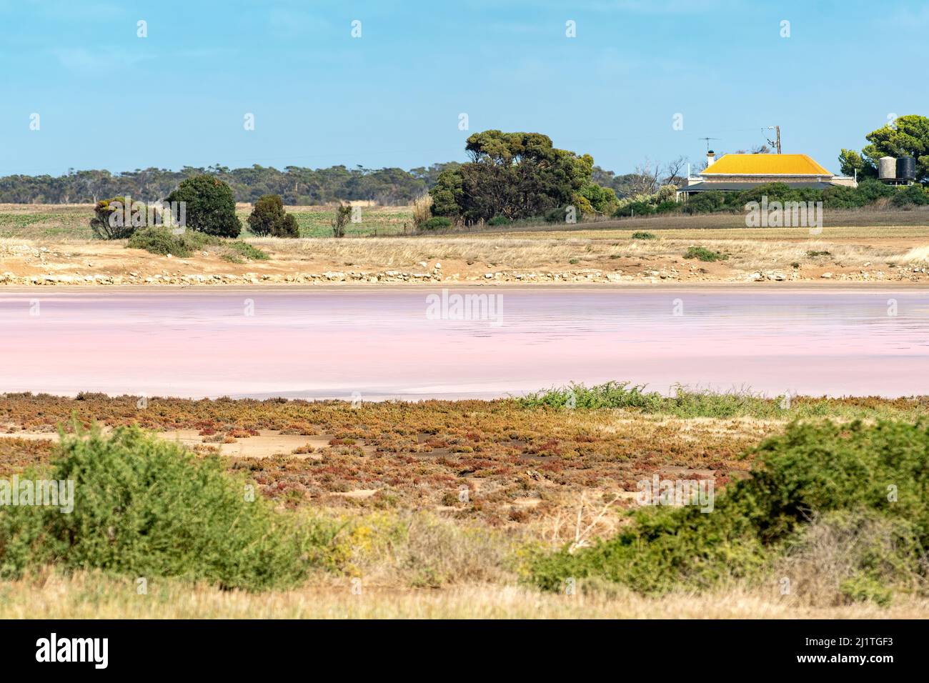 Pink Lake, près de Yorketown, Australie méridionale, Australie Banque D'Images