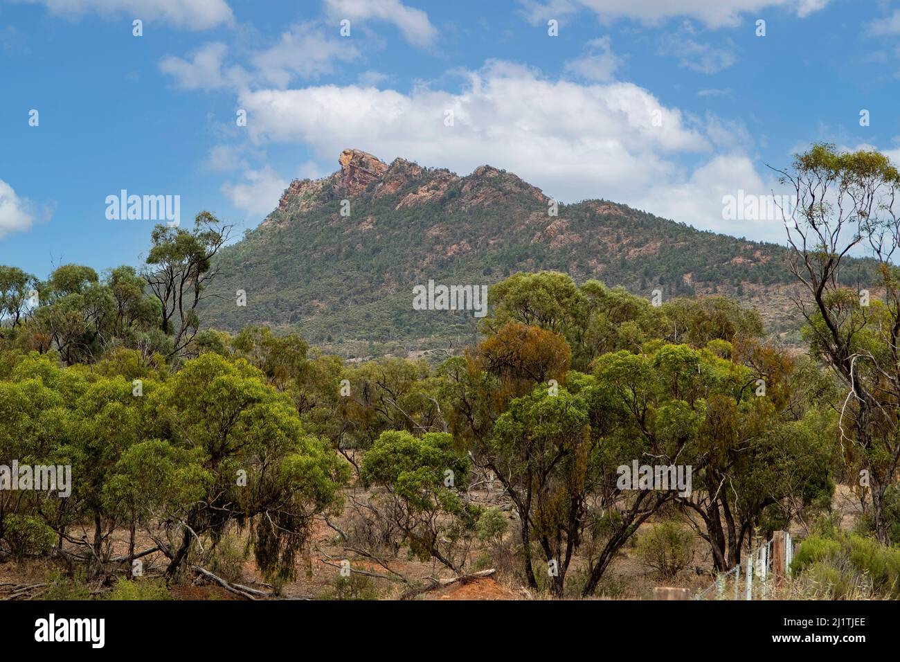 Devil's Peak, près de Quorn, Australie méridionale, Australie Banque D'Images