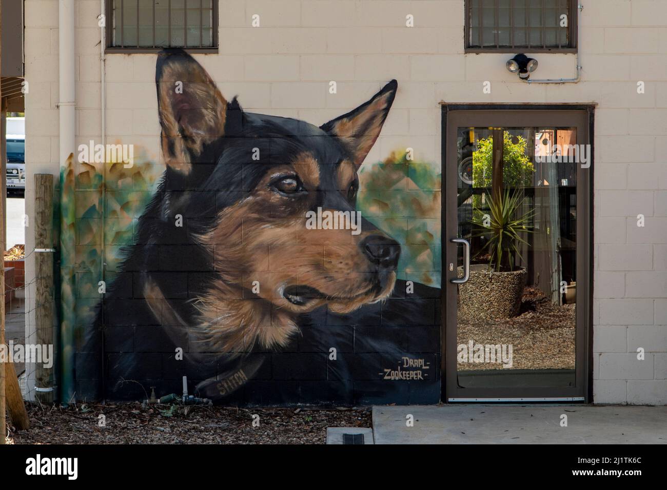 Art de la rue des chiens de travail, Sea Lake, Victoria, Australie Banque D'Images