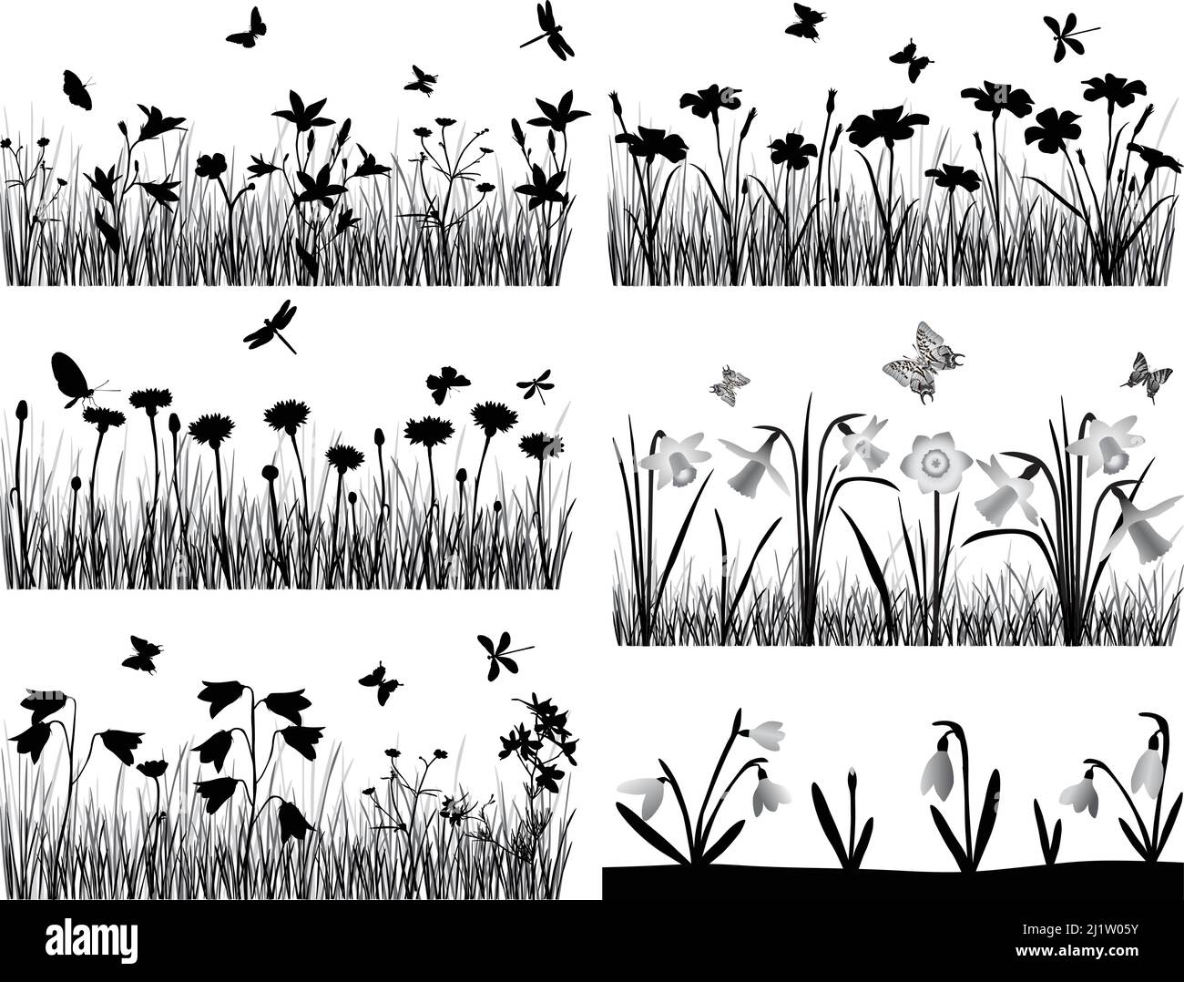 Collection de silhouettes de fleurs et de graminées Illustration de Vecteur