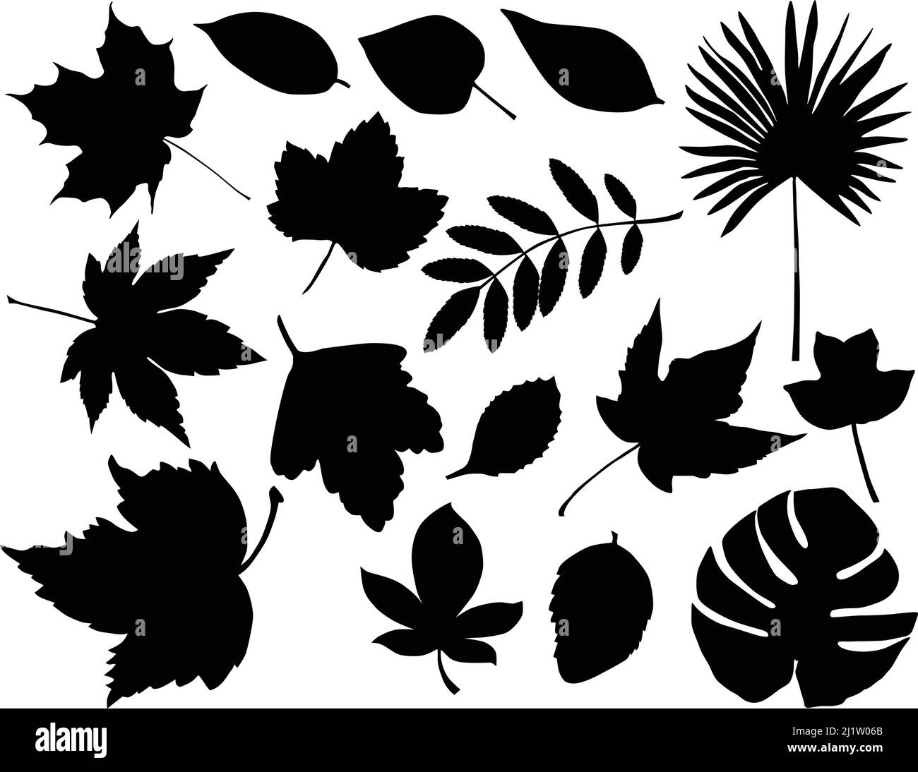 Collection de silhouettes de différentes espèces de feuillage Illustration de Vecteur