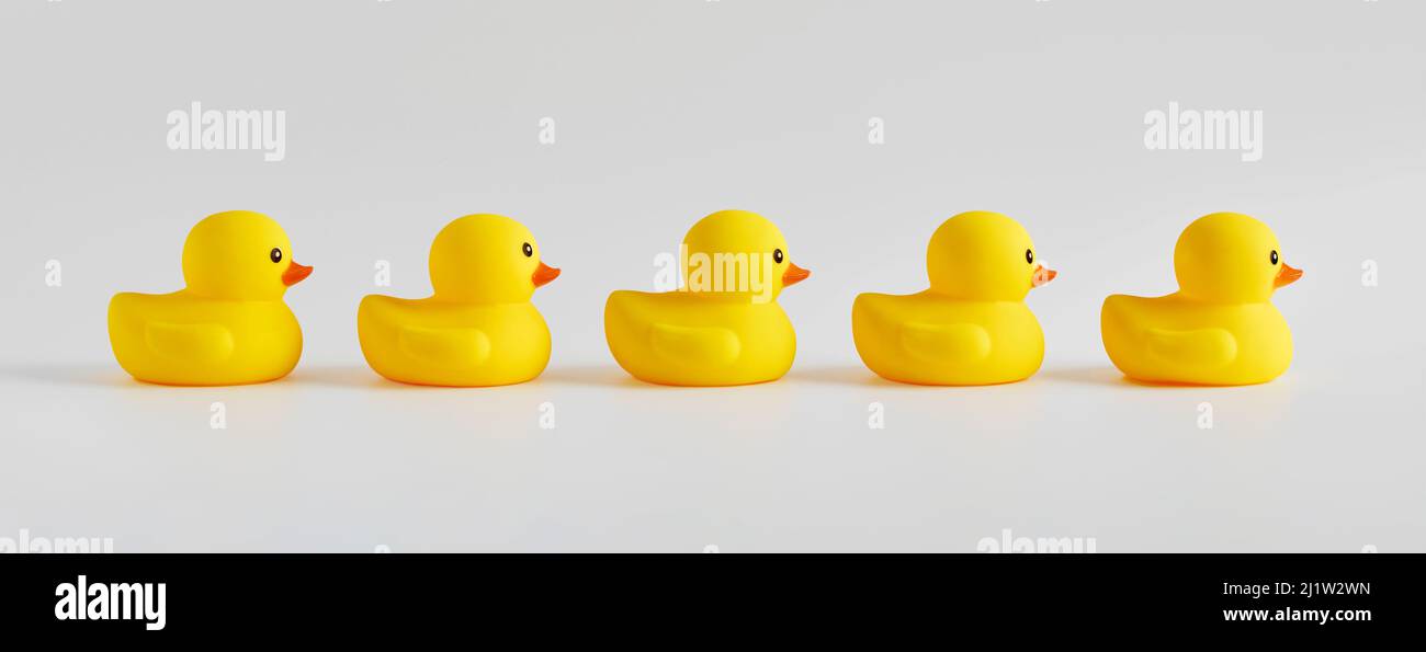 Canards jaunes en caoutchouc disposés en rangée sur fond blanc. Banque D'Images