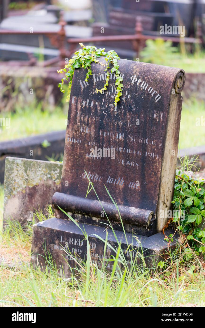 Une image à l'avant (noms flous) d'une pierre tombale humide partiellement surcultivée avec un super-réducteur dans un cimetière ou un cimetière à Sydney, Nouvelle-Galles du Sud, Australie Banque D'Images