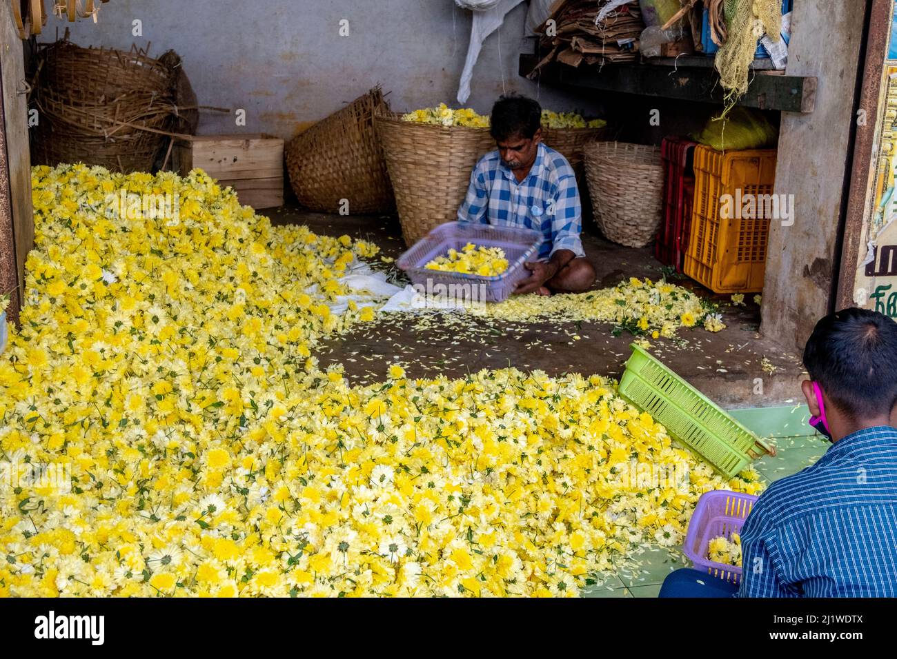 Pétales de fleurs en vente sur le marché de Tiruvannamalai, Tamil Nadu, Inde Banque D'Images