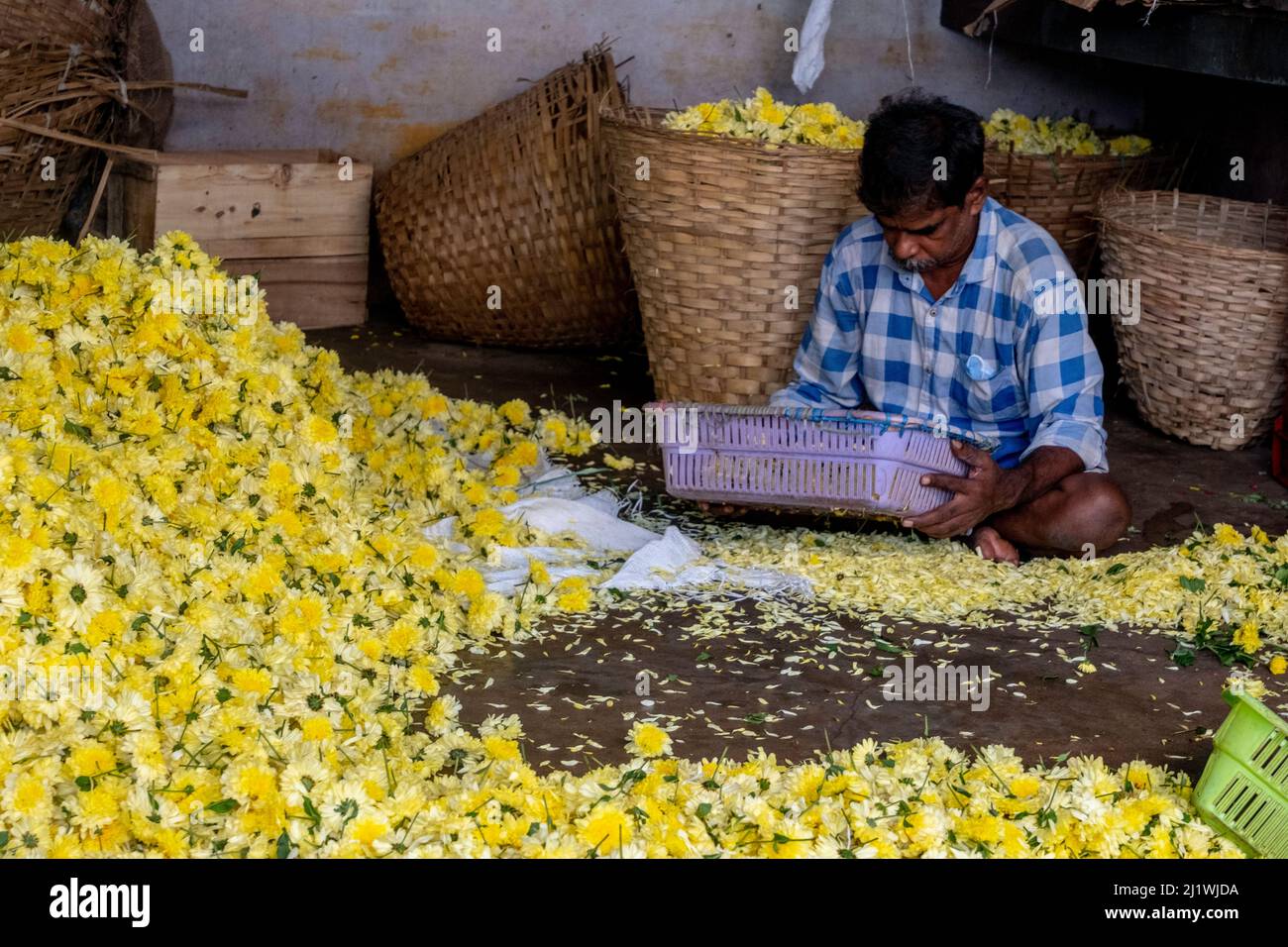 Pétales de fleurs en vente sur le marché de Tiruvannamalai, Tamil Nadu, Inde Banque D'Images