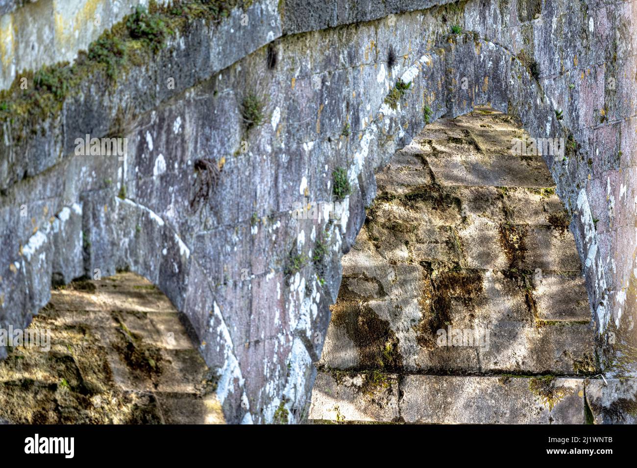 Eau réfléchissant sous la pierre du pont Palladium, jardins de Stourhead, Wiltshire, Royaume-Uni Banque D'Images