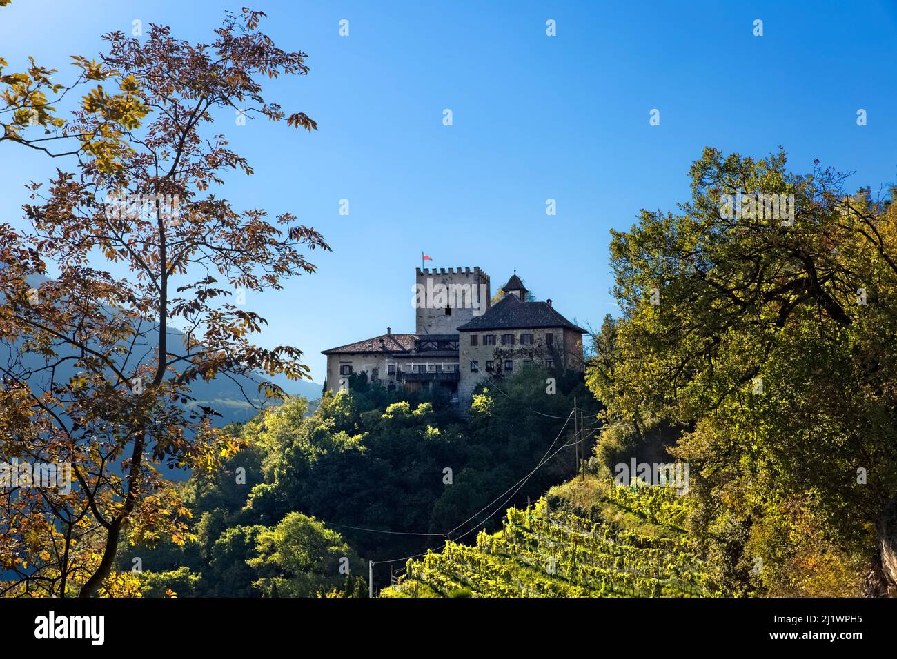 Thurnstein est un château médiéval entouré par les vignobles du "vin Napoléon" typique. Tirolo/Tirol, province de Bolzano, Trentin-Haut-Adige, Italie. Banque D'Images