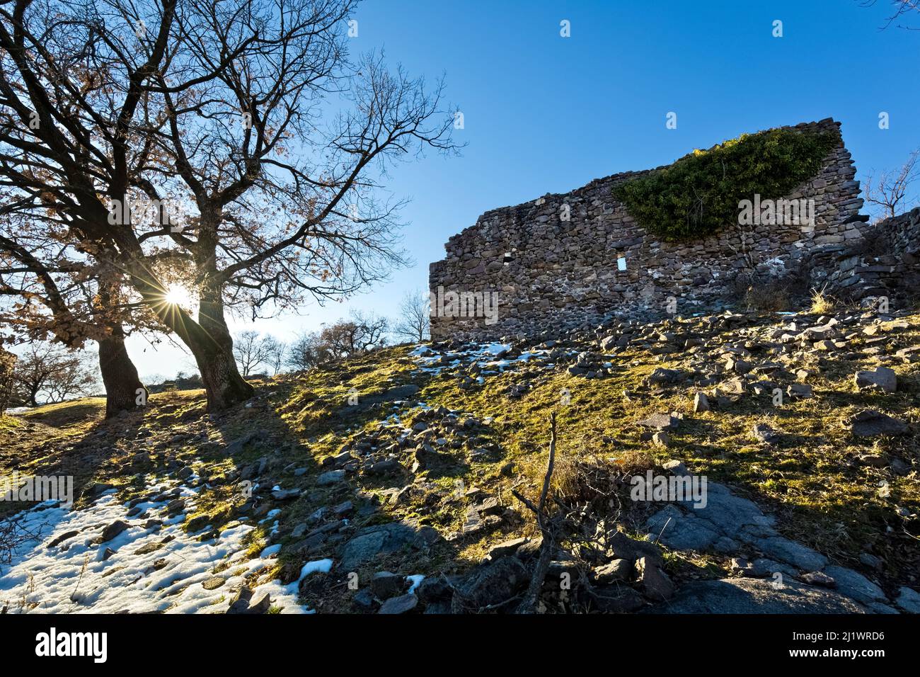 Vestiges de murs médiévaux dans la zone archéologique de la colline de Castelfeder. Montagna, Alto Adige, Italie. Banque D'Images