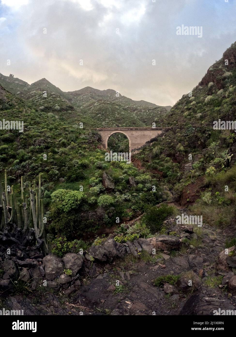 montagnes-d-anaga-pentes-abruptes-couvertes-de-for-t-verte-et