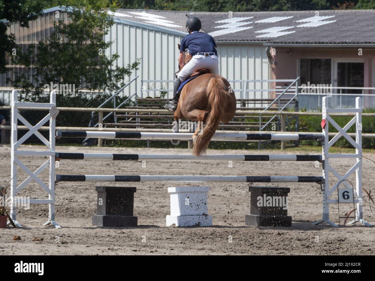 L'homme et le châtaignier saut à cheval une clôture Banque D'Images