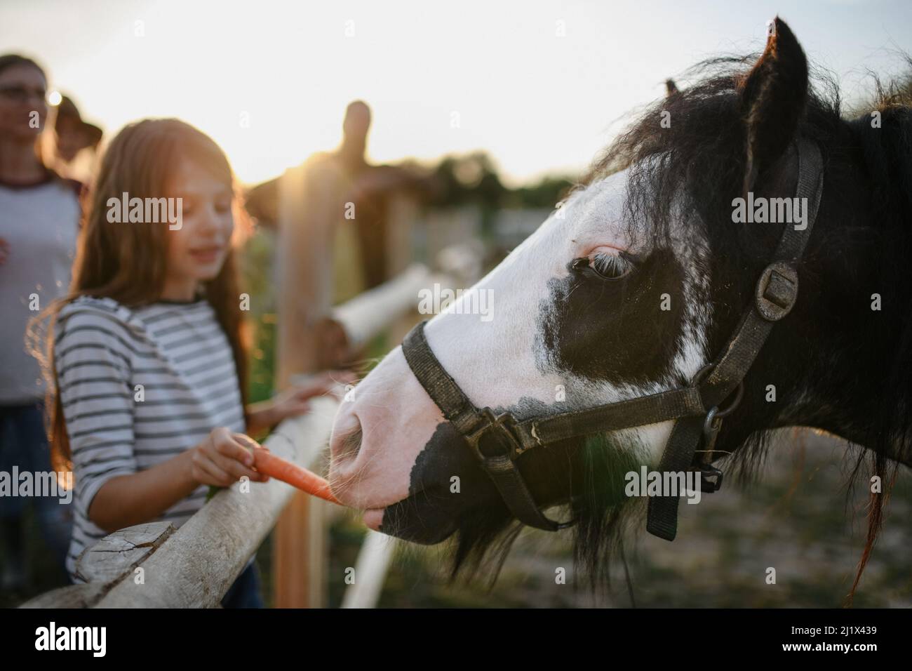 Petite fille embrassant le cheval à l'extérieur à la ferme communautaire. Banque D'Images