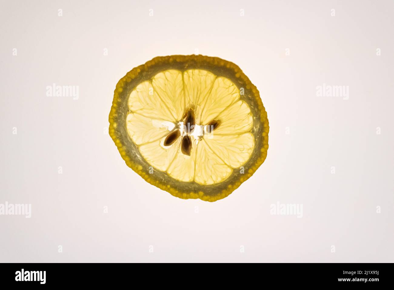 une photo de la tranche de zitrone citron Banque D'Images