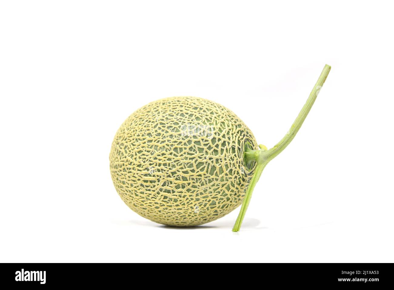 Cantaloup de pastèque ou miellat frais isolé sur fond blanc. Banque D'Images