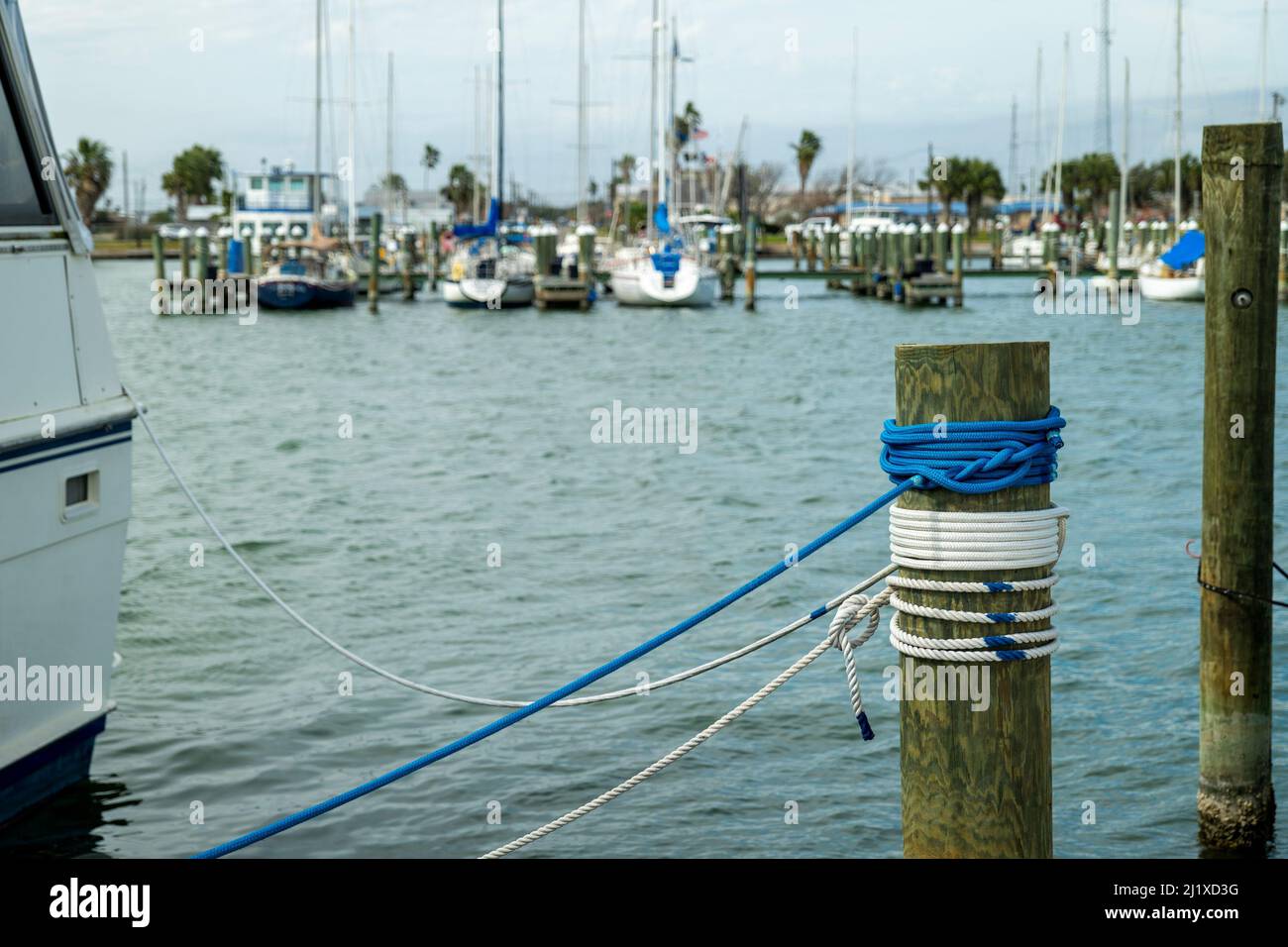 La corde marine en nylon, bleue et blanche, est attachée à un yacht et est soigneusement enroulée autour d'un poteau en bois sur une jetée de marina. Banque D'Images