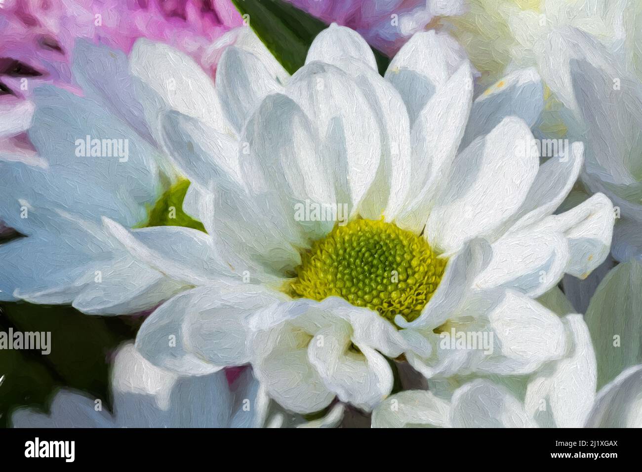 Peinture numérique de la fleur blanche de Gerbera en fleur dans un jardin naturel à faible profondeur de champ. Banque D'Images